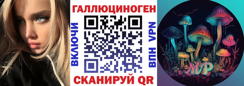 купить закладку  Елец  Галлюциногенные грибы Cubensis 